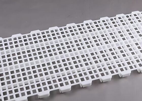 Corrosion Resistant Plastic Poultry Slats Easy Pull Chicken House Floor Slats