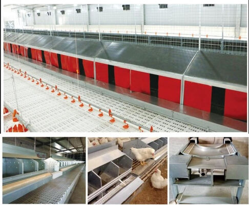 Easy Operate Poultry Farm Automatic Laying Nest PP