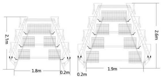 A Type Layer Rearing Broiler Chicken Cage System Fully Automated