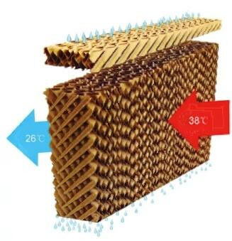 Automatic Poultry House Equipment 3m/3pan 3m/4 Pan Chicken Coop Shed High Strength Wet Curtain