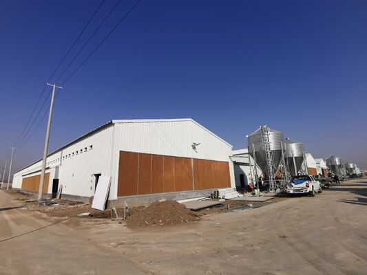 Turnkey poultry house equipment lifts efficiency health all site conditions