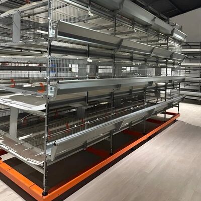 Cheap Price Automatic Chicken House Broiler Poultry Farming Farm Machine Equipment