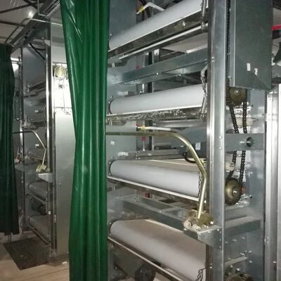 Best Chicken House H Type Automatic Pullet Cage Poultry Farm Equipment