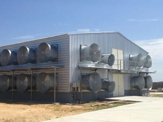 Durable Poultry Breeding Equipment Galvanized Chicken House Solutions