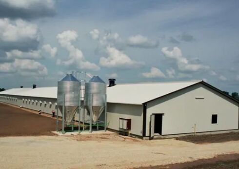 Fast Installation Hot-DIP Galvanized Prefabricated Steel Poultry House with Customize Design