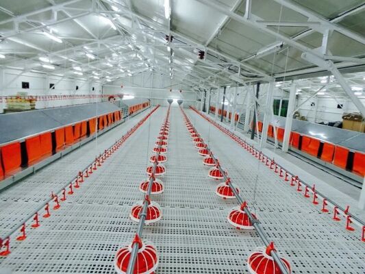 Husbandry Farming Poultry Farm Equipment Chicken Coop Chicken House