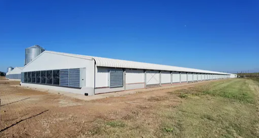 Agricultural Farm Design Professional Detachable Steel Structure Cattle/Cow/Pig/Sheep Barn Shed Building