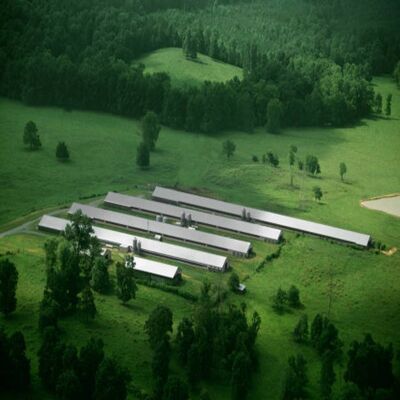 Prefab Galvanized Steel Poultry House with Modular Structure and 15-20 Years Lifespan for Chicken Farm Building