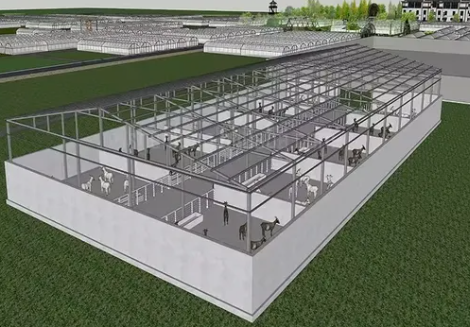 Prefab Steel Structure Chicken House Poultry Farm for 10000 Chickens Supplies