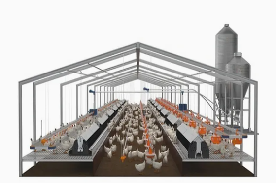 Steel Structure Meat Chicken House Poultry Farm Building Chicken Shed Coop House for Sale