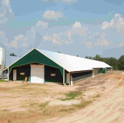 Low Cost Self Manufactured Best Quality Steel Poultry House Equipment