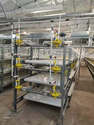 Hot-dip galvanized A & H Type Breeder Cage Equipment Parameters strong corrosion resistance