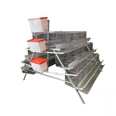 Galvanized Steel A Type Layer Cage System with Low Maintenance and Customizable Dimensions for Poultry Farm Equipment