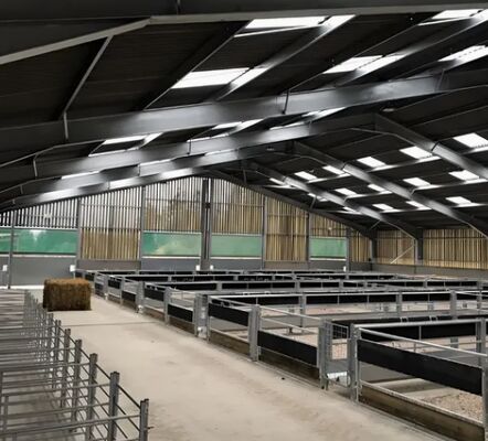 Pre-Engineered Cattle Shelter-36m Clear Span, Q355b Steel, 5m Height, 200-Cow Capacity