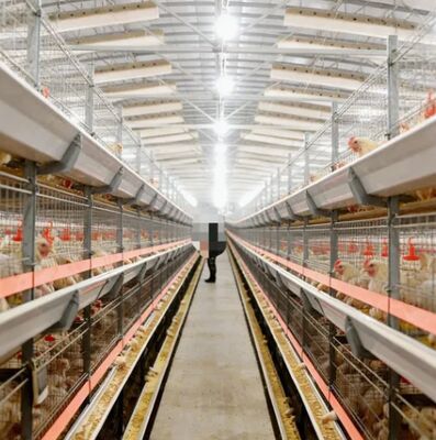 Prefabricated High-Strength Windproof Waterproof Efficient-Assembly Steel Cattle Sheds, Chicken Coops & Horse Stables