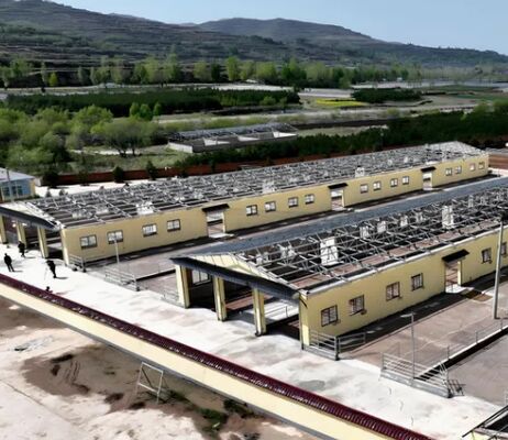 Customizable Size & Height Suitable for Duck Goose Chicken Breeding Steel Structure Poultry House