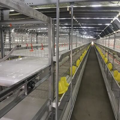 Factory Price Agricultural Machinery 4 Layer Egg Cage Egg House Poultry Breeding Equipment