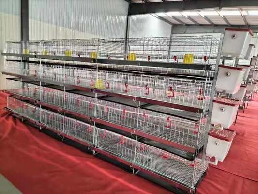 Storage Racks For Poultry Heavy-Duty Multi-Tier Durable Poultry Cage for Broiler and Layer Farming