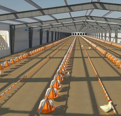Convenient Feeding Smooth Drainage Prefabricated Steel Structure Chicken House