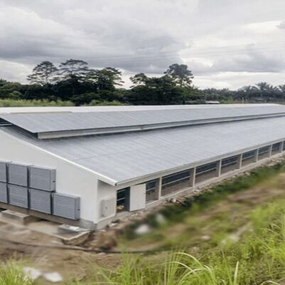 Corrosion Resistant Energy Saving Automatic Feed Poultry Ventilation System for Chicken House