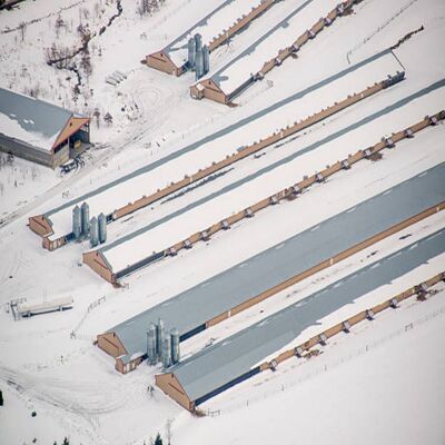 Energy-Efficient Climate-Controlled Prefabricated Poultry House for Modern Chicken Farm
