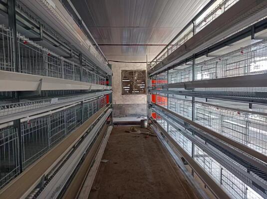 Modula Chicken Module Modular Automatic Chicken Cage with Galvanized Steel