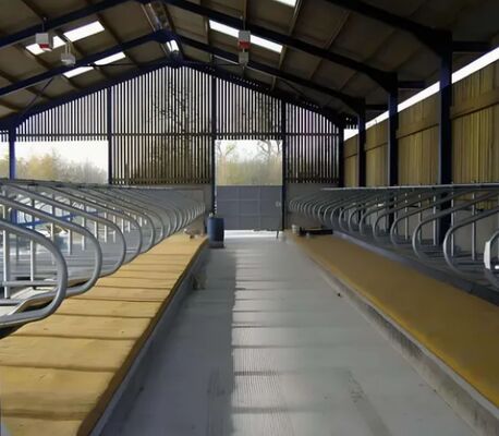 Prefabricated Galvanized Steel Structure Cattle Shed Customizable Cow Barn for Livestock Farming