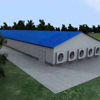 H Section Steel Galvanized 4 Tiers Poultry Farm Cage for Chicken Layer and Broiler