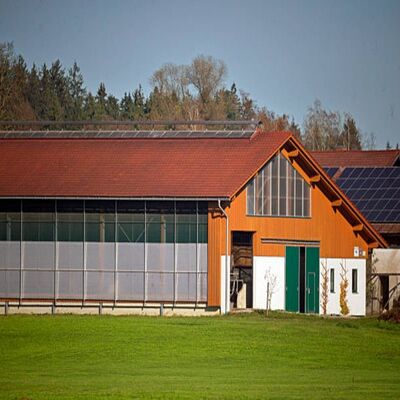 Fully Automated Steel Structure Poultry House with Energy-Saving Ventilation and Large-Scale Design