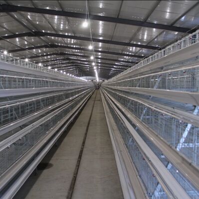 Broiler Poultry Farm Equipment with Automatic Feeding System, Environment Control, and Cooling Pad for Chicken House