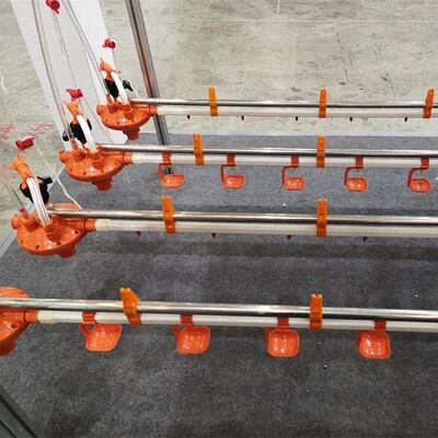 Hot-Dip Galvanized Laying Hen Cage with Automatic Feeding System and Low Maintenance for Poultry Farming