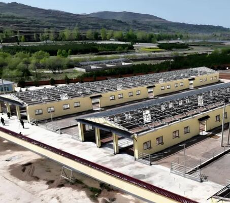 Quick Installation Prefab Steel Structure Cattle House with 30 Years Warranty and Bolt Connection