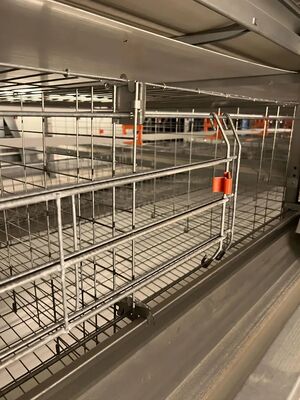 Modular Frame Layer Cage System with Automatic Egg Collection and Corrosion Resistant Design for Poultry Farming