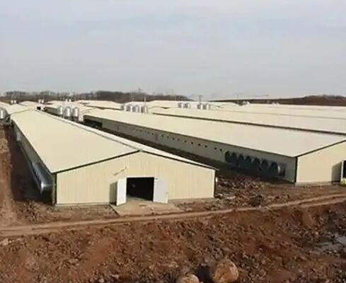 Hot-Dip Galvanized Steel Poultry House with Automatic Feeding System and Customizable Size