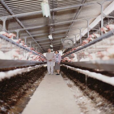 Eco-friendly Prefab Poultry Farm with Wind and Rain Resistant Steel Poultry House and 40-Year Warranty