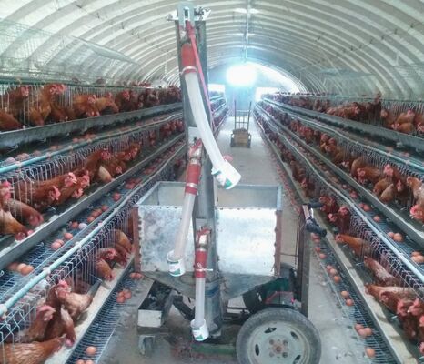 Automatic Hot Galvanized Multi-Tier A-Frame Layer Chicken Battery Cage Poultry Farming Equipment with Nipple Drinkers