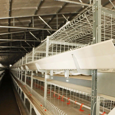 Automatic H Type Layer Battery Cage with PP Plastic Slat Floor and Nipple Drinkers for Efficient Chicken Coop