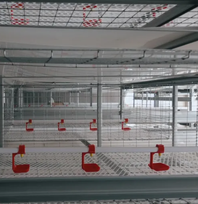 Fast-Growth Strain Optimized Broiler Chicken Cage with High Strength Bolts Connection and Q235b Q355B Carbon Structural Steel
