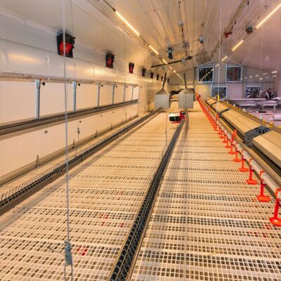 Hot-Dip Galvanized Steel Layer Cage with Automated Feeding System for High Egg Production Rate