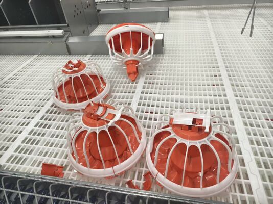 Pre-engineered Broiler Chicken House with Low Maintenance and Customizable Exterior Finishes for Efficient Poultry Farming