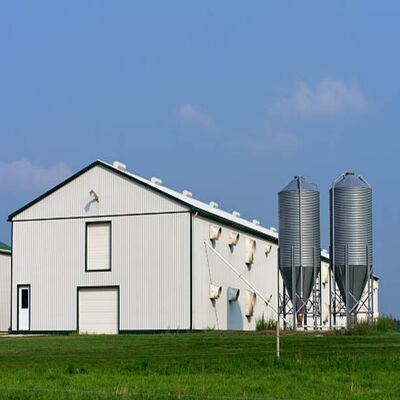 Hot-Dip Galvanized Prefabricated Steel Poultry House with Customizable Dimensions and 50-Year Lifespan