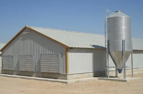 Galvanized Steel Poultry House with Modular/Panelized Design and 30 Years Warranty for Layer Cage Chicken Farming