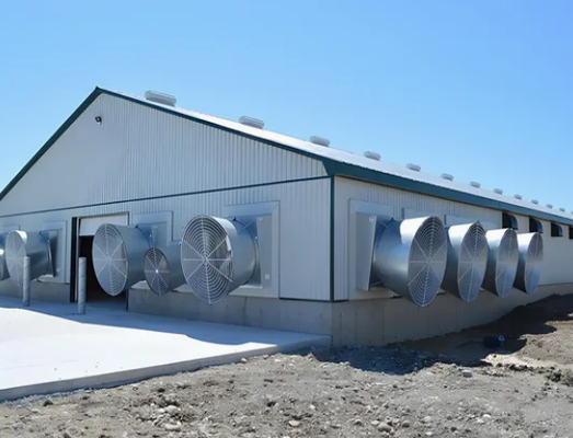 Modular Carbon Steel Q235b Chicken Coop with Low Maintenance Design for Efficient Poultry Farming