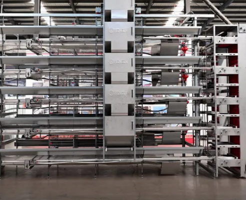 Automated Intelligent Steel Structure Poultry Shed Cage with 15-20 Years Lifespan Industrial Chicken Coop
