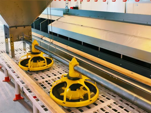 Low Maintenance Poultry House Equipment with 20+ Years Lifespan and 12,000 Eggs per Hour Collection