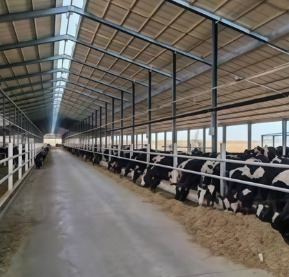 Hot-dip Galvanized Steel Structure Poultry House with Customizable Dimensions and Prefabricated Components for Efficient Livestock Shelter