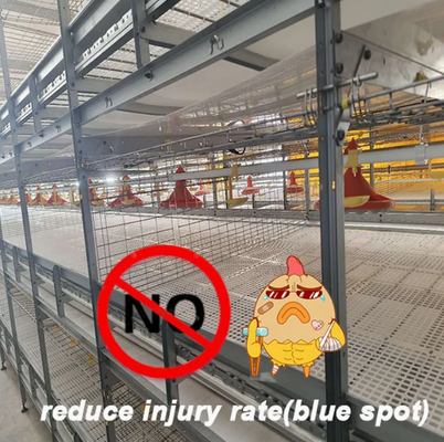 Galvanized Steel Automatic Chicken Cage with Adjustable Ventilation System for Low Maintenance Poultry Farming