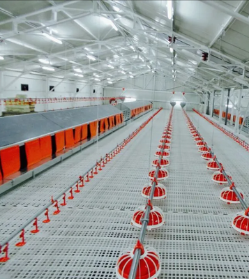 Customized Corrosion Resistant Poultry Farm Ventilation System with Hot-Dip Galvanized Steel and Easy Assembly