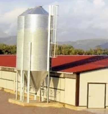 Hot-Dip Galvanized Steel Structure Chicken Coop with Customizable Dimensions and Automated Feeding System