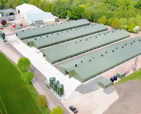 Corrosion Resistant Broiler Floor System with 40-Year Warranty and 3 Feeder Levels for Poultry House